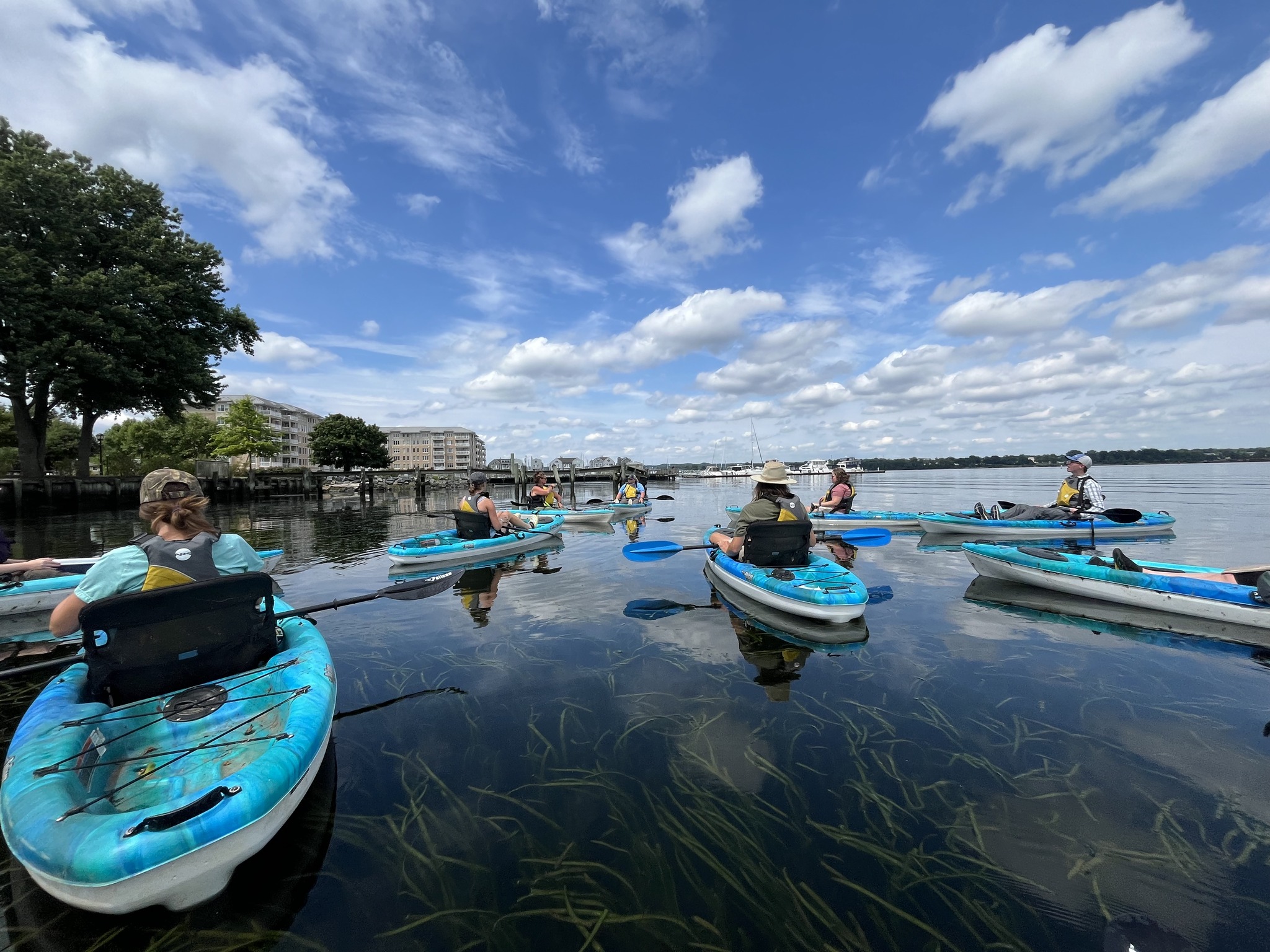 Chesapeake Bay SAV Watchers Train-the-Trainer event in partnership with the Havre de Grace Maritime Museum