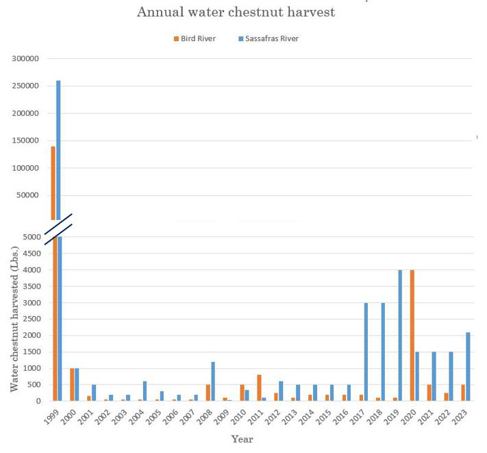 Water chestnut harvest was highest in 1999. spiked again from 2017 through 2020. Moderate collection otherwise in Maryland
