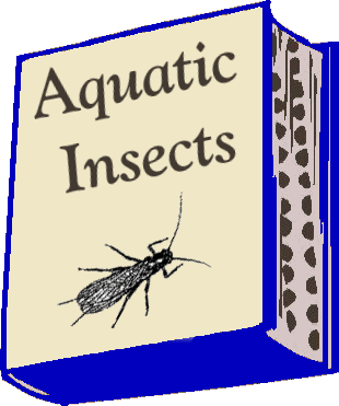 insects front book