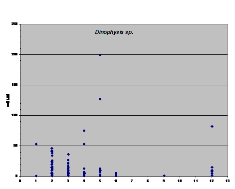 Monthly occurence of Dinophysis in MD (2000-2015)