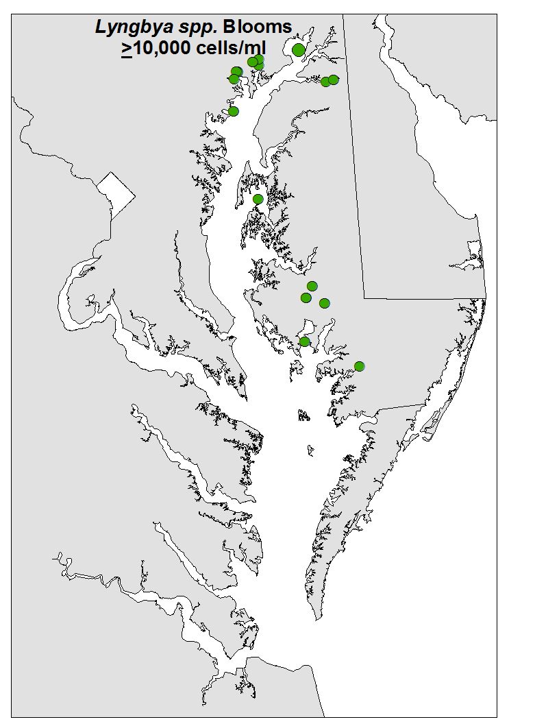Distribution of Lyngbya blooms in MD (2000-2014)