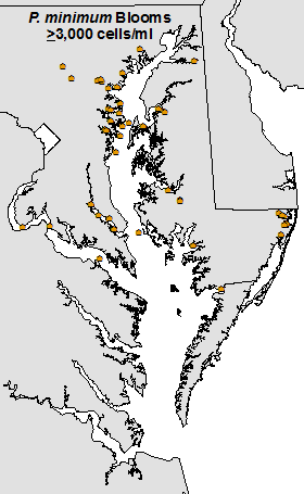 Distribution of Prorocentrum minimum blooms in MD (2000-2013)