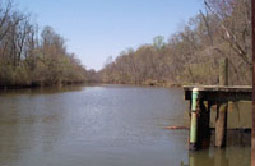 Iron Pot Landing - Jug Bay weather station