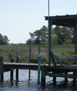 CONMOM Station at Monie Bay