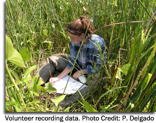 Volunteer recording data. Photo Credit: P. Delgado