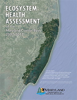 Ecosystem Health Assessment report cover