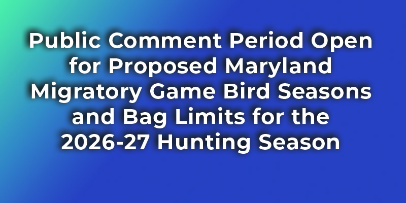 Public Comment Period Open for Proposed Maryland Migratory Game Bird Seasons and Bag Limits for the 2026-27 Hunting Season