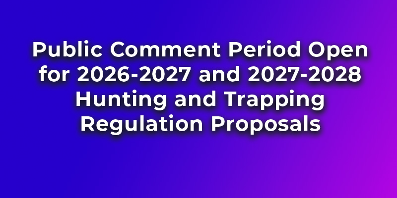 Public Comment Period Open for 2026-2027 and 2027-2028 Hunting and Trapping Regulation Proposals
