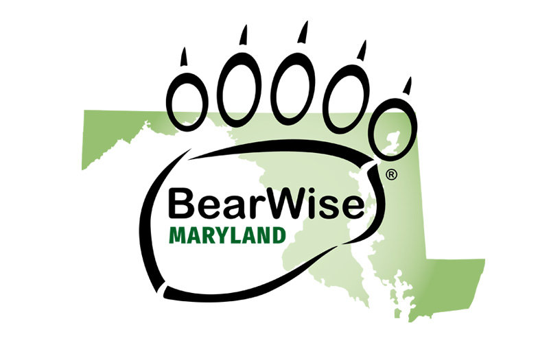 Black Bear Management in Maryland