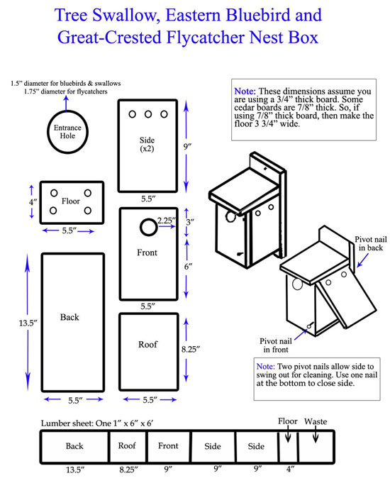 Inspirational 44 Bluebird House Plans   BlueBird NestBoxPlan 