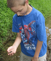 Boy with tadpole, photo by Kerry Wixted