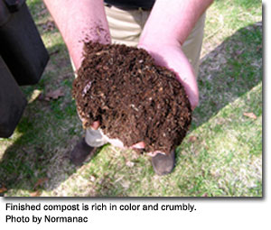 Finished compost is rich in color and crumbly, photo by Normanac