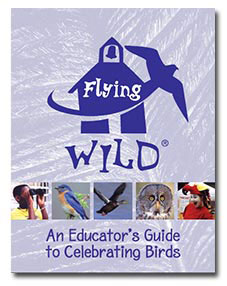 Cover art for Flying Wild Educator's Guide