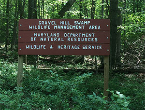 Signage at Gravel Hill Swamp WMA