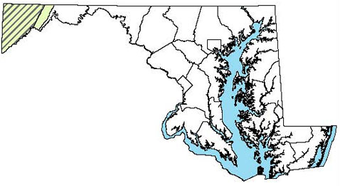 Maryland Distribution Map for Northern Coal Skink