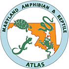 Maryland Amphibian & Reptile Atlas logo