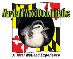 Maryland Wood Duck Initiative Logo