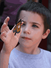 Boy with tagged Monarch Butterfly in his hand. photo by Caroline Blizzard, Maryland State Parks