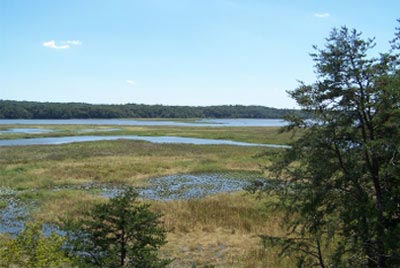 Scenic view of Jug Bay Natural Area. Photo by: Kathi Fachet