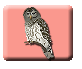 Owl Pellets Icon