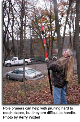 Pole pruners can help with pruning hard to reach places, but they are difficult to handle by Kerry Wixted