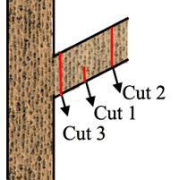 Illustration of pruning cuts