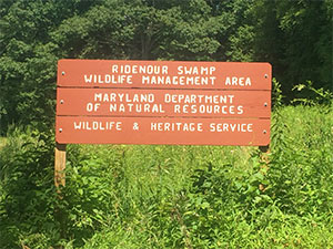 Signage at Ridenour Swamps WMA