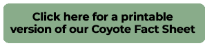 Click here to download the coyote fact sheet