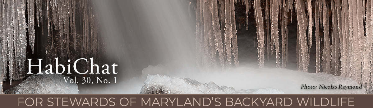 HabiChat Winter 2025 Edition