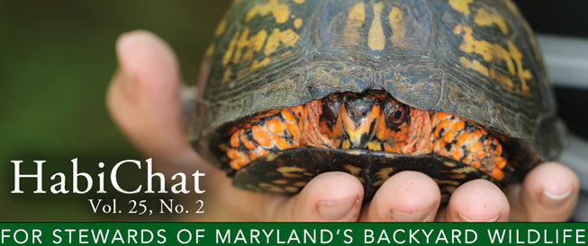 HabiChat Vol.25, No. 2 For Stewards of Maryland's Backyard Wildlife
