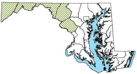 Maryland Distribution Map of Jefferson Salamander