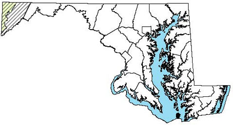 Maryland Distribution Map for Common Mudpuppy