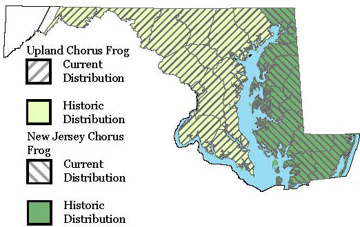 Maryland Distribution Map for Upland Chorus Frog