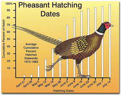 pheasantchart.gif
