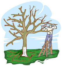 Clip art shows man pruning a tree
