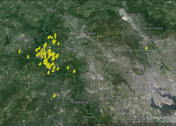 Sample map from EDDMapS of wavyleaf basketgrass (Oplismenus undulatifolius) infestations outside Baltimore