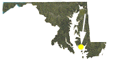 Taylor's Island is located in Dorchester county on Maryland's eastern shore