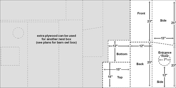 Illustration of plywood cut plan for barred owl nest box