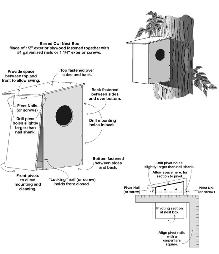 barn-owl-house-plans-pdf-minimalist-home-design-ideas