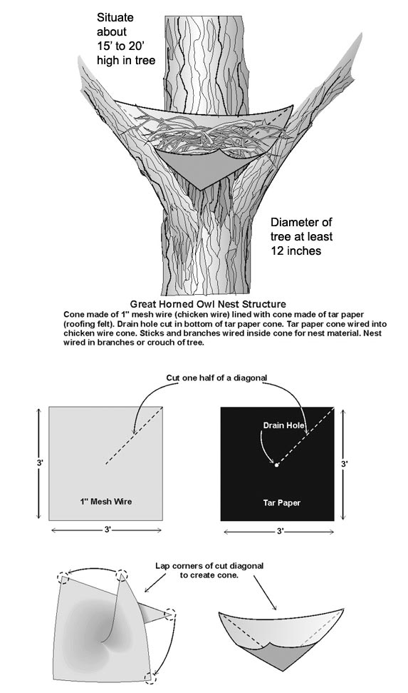 awesome-80-great-horned-owl-house-plans