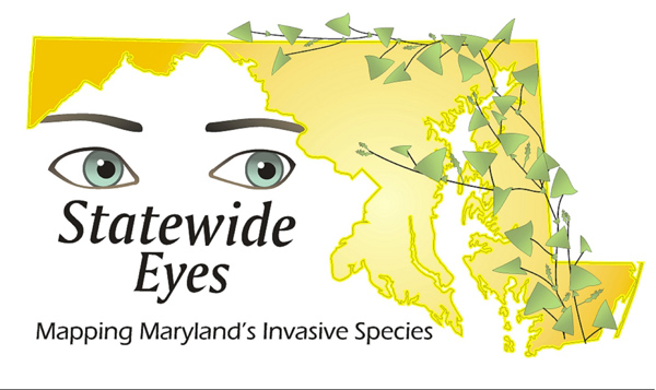Statewide Eyes Logo