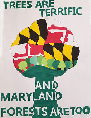 Tree drawing with Maryland flag in the crown
