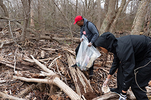 Two park volunteers walk through fallen logs on a cold day. They are holding trash bags, and use gloved hands to pick up litter.