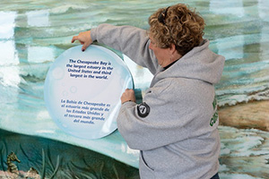 A park staff member stands in front of a large display of the Chesapeake Bay. She interprets the information on the display for nature center visitors.