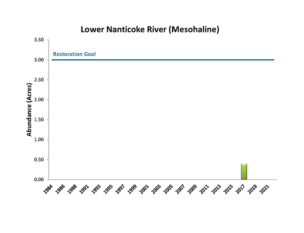 Lower Nanticoke River (Mesohaline)