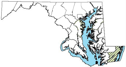 Distribution in Maryland - Southern two-lined Salamander