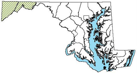 Maryland Distribution Map of Seal Salamander
